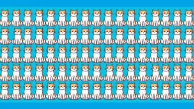 بازی فکری ۳