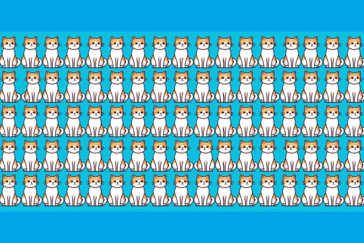 بازی فکری ۳