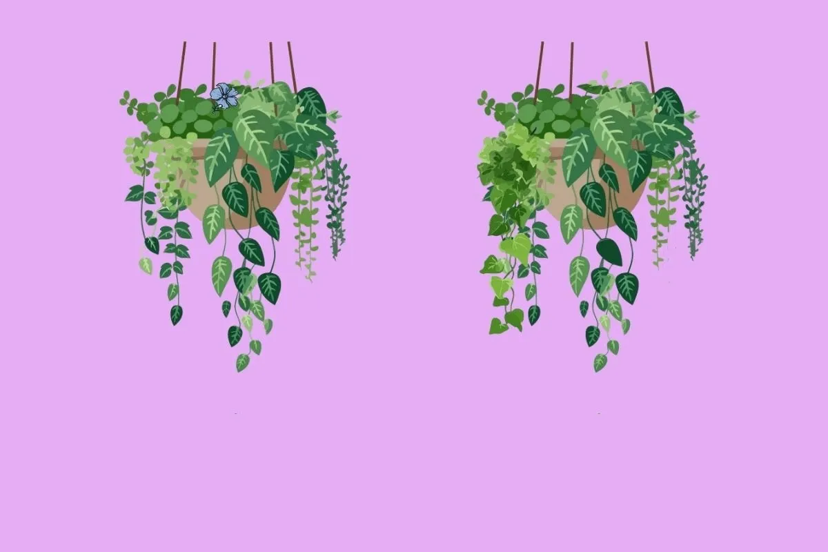 بازی فکری ۳