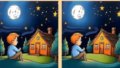 بازی فکری ۴