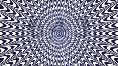 بازی فکری ۴