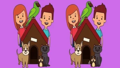 بازی فکری ۴