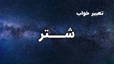 تعبیر خواب شتر