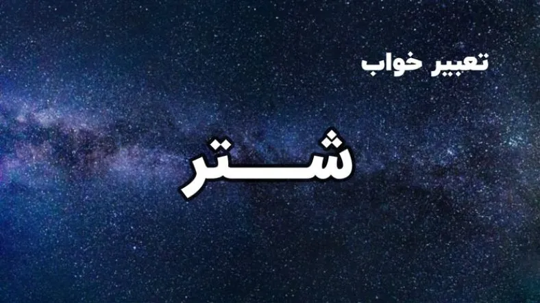 تعبیر خواب شتر