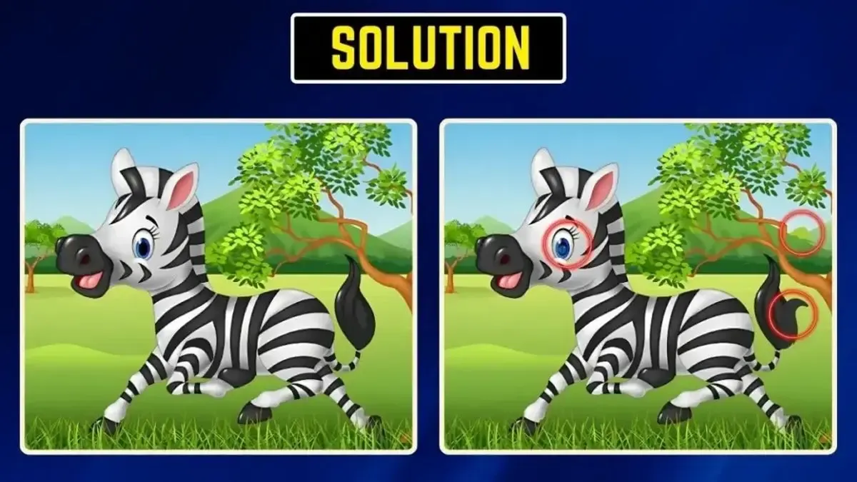 جواب بازی فکری