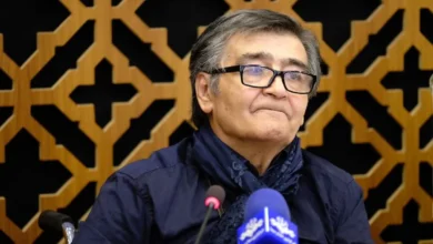 رضا رویگری بازیگر