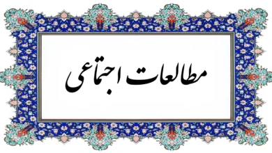 مطالعات اجتماعی