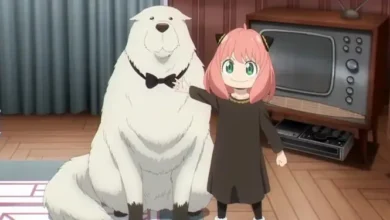 Spy-x-Family انیمه