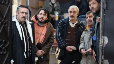 سریال اسباب زحمت