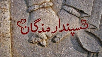 سپندارمذگان