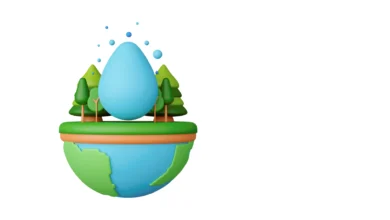 هواشناسی بهمن 1404 اینتین (16)