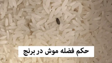 برنج
