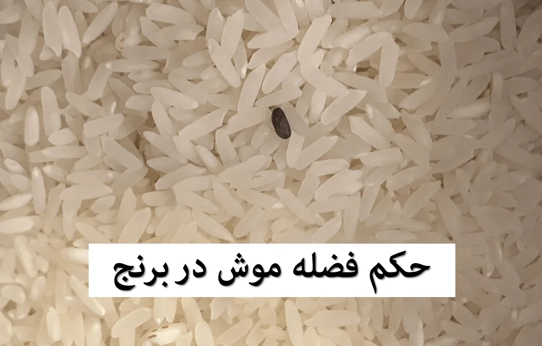 برنج