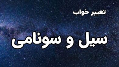 سیل