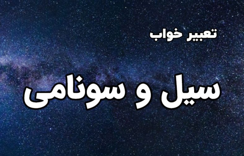 سیل