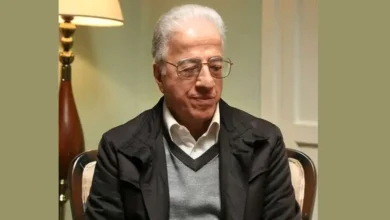 سریال فریبا