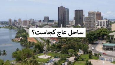 ساحل-عاج