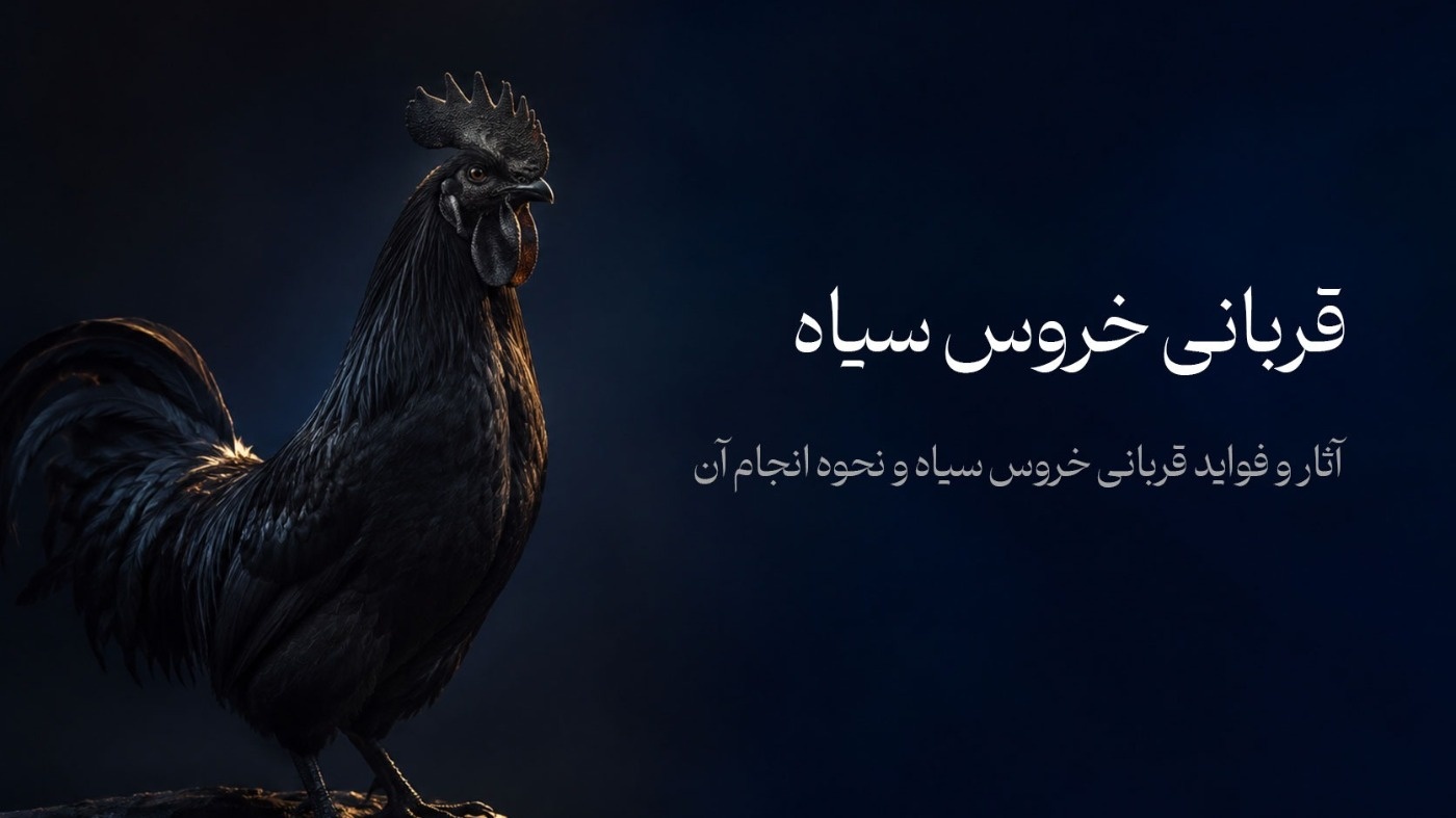 همه-چیز-درباره-قربانی-خروس-سیاه