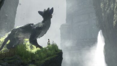 یکی دیگر از انحصاریهای بزرگ PS4 روی کامپیوتر اجرا شد؛ The Last Guardian را بدون شبیهساز بازی کنید!