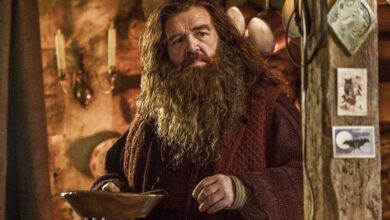 بازسازی یکی از ماندگارترین لحظات Harry Potter در سریال جدید HBO تأیید شد